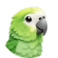 Parakeet AI